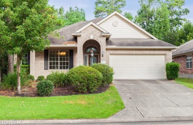3 N Abram Circle - 3 North Abram Circle, The Woodlands, TX 77382