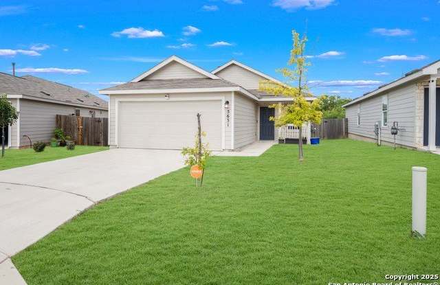 5631 Apricot Mist photos photos