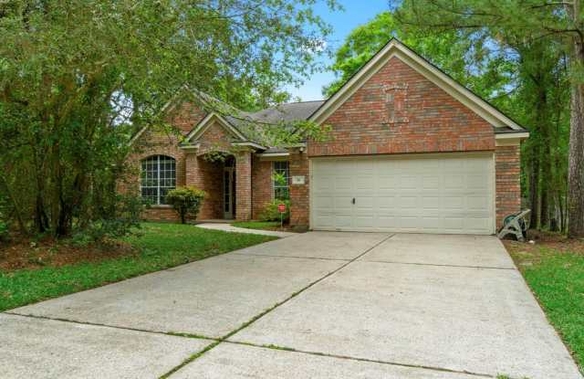 54 Legend Mill Court - 54 Legend Mill Court, The Woodlands, TX 77382
