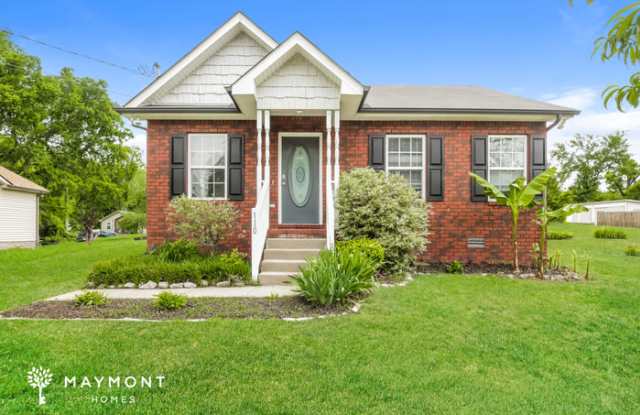 110 Meadow Street - 110 Meadow Street, Nashville, TN 37138
