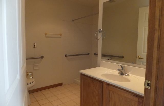 Large 2 bedroom apartment with washer/dryer hookup.  55+ community Gallery 4