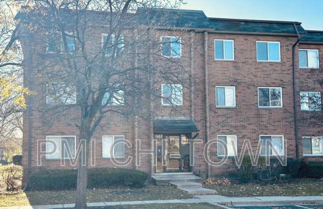929 Buccaneer Dr - 929 Buccaneer Drive, Schaumburg, IL 60173