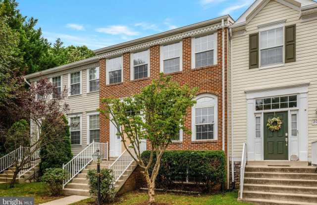 20725 WATERFALL BRANCH Terrace Gallery 3