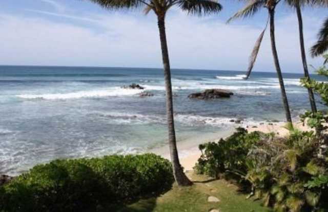 61-313 Kamehameha Highway Gallery 3