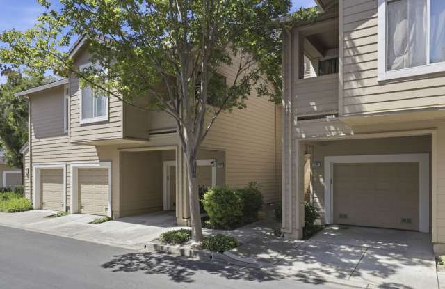 5305 Tacoma Cmn Gallery 3