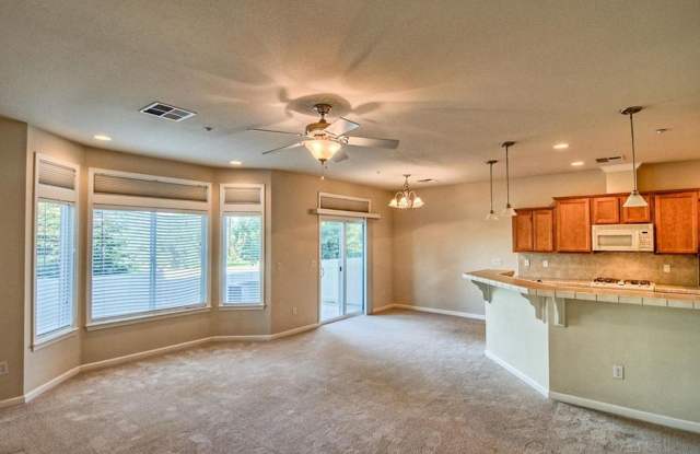 Luxury Townhome Gallery 4