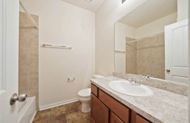 1527 Ty Cobb Court - 1527 Ty Cobb Place, Round Rock, TX 78665