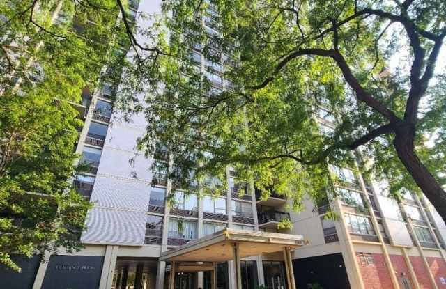 1360 N Sandburg Terrace Gallery 1
