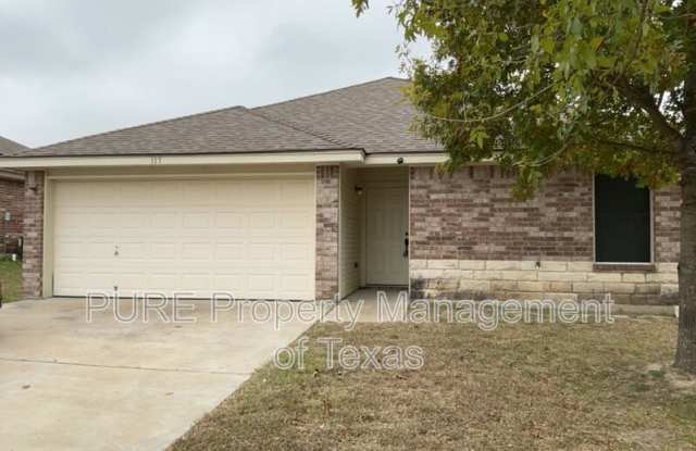 117 Soapstone Drive - 117 Soapstone Drive, Williamson County, TX 76537