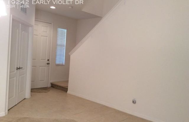 19242 EARLY VIOLET DR Gallery 3