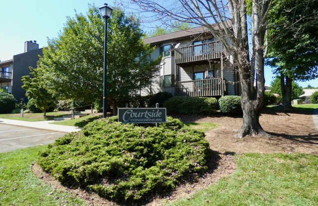 Courtside Condo with Racquet Club Membership Privileges! - 201 Racquet Club Road, Asheville, NC 28803