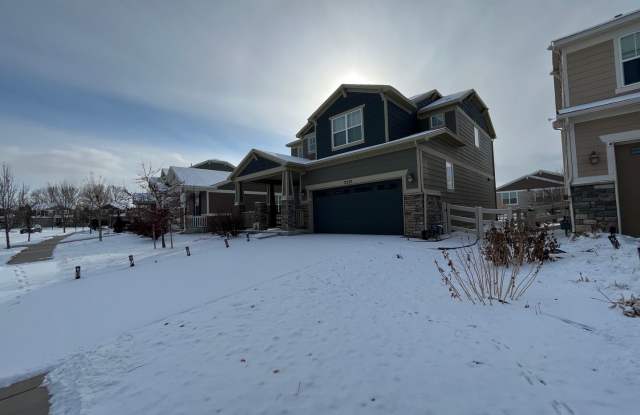 Fantastic Newer Home in South Fort Collins Gallery 3