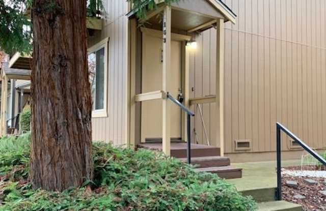 163 Lincoln Way - 1 - 163 Lincoln Way, Auburn, CA 95603
