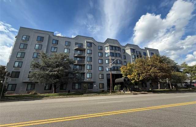 115 Polifly Road 5D photos photos