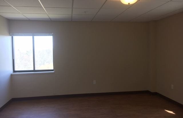 Ashfield Senior (55+) Apartments Gallery 4