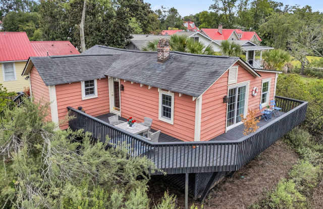 217 Church Street - 217 Church Street, Mount Pleasant, SC 29464