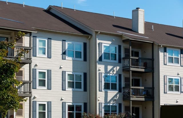 Elme Leesburg photos photos