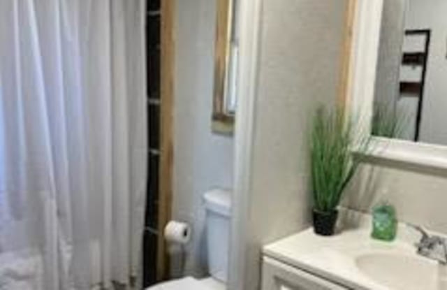 30266 County Road 383 - 30266 County Road 383, Chaffee County, CO 81211