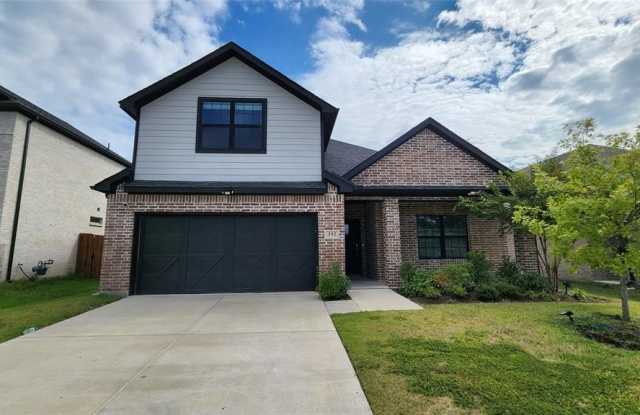 332 Braves Way - 332 Braves Way, Collin County, TX 75173