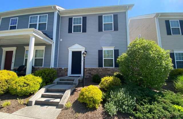 255 NW Phoenix Boulevard - 255 Phoenix Boulevard Northwest, Christiansburg, VA 24073
