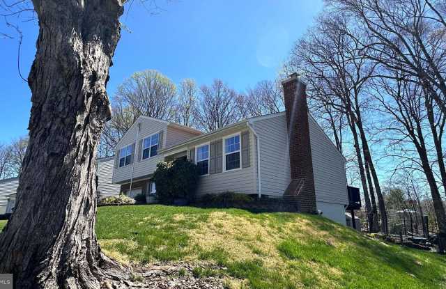 11929 COTTON MILL DRIVE Gallery 3