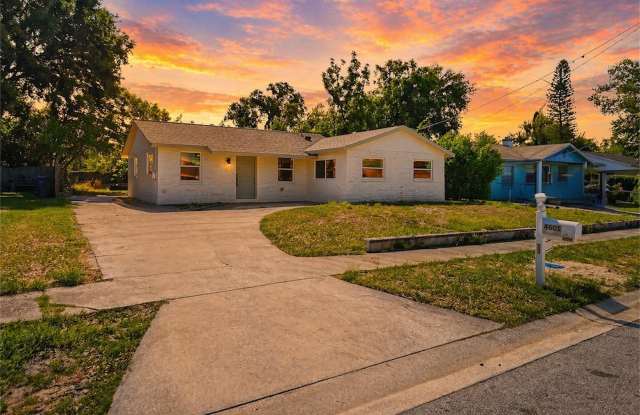 Spacious and Updated Home in Tampa! Move-in Ready | 2bed-1bath Gallery 3