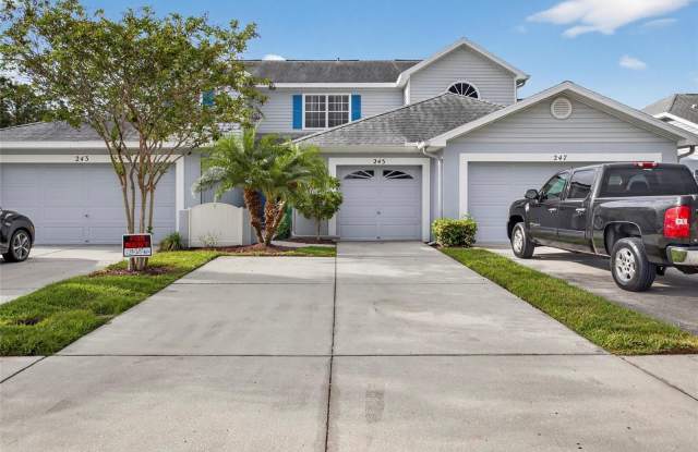 245 HEMINGWAY DRIVE - 245 Hemingway Drive, Oldsmar, FL 34677