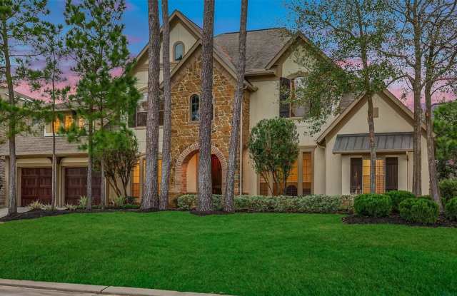 250 E Tupelo Green Circle - 250 East Tupelo Green Circle, The Woodlands, TX 77389