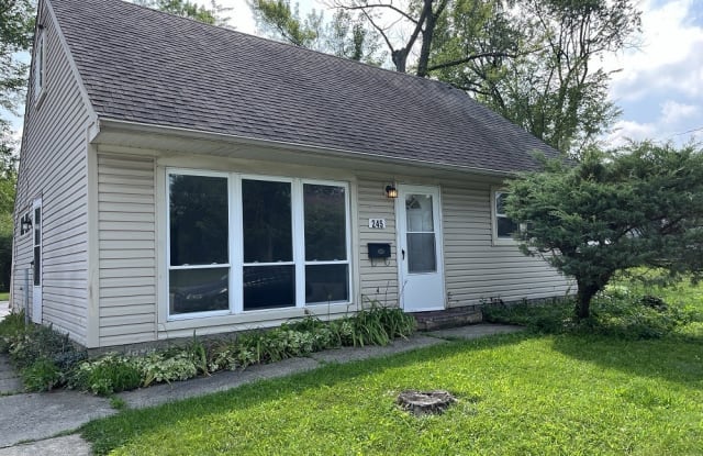 245 Allegheny Street - 245 Allegheny Street, Park Forest, IL 60466