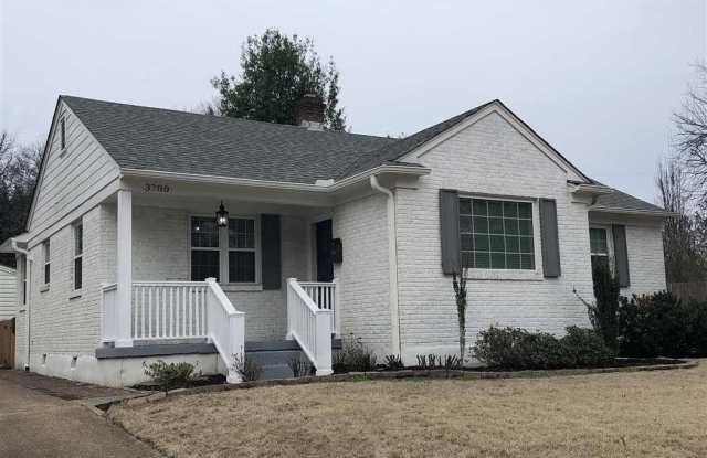 3780 CARDINAL photos photos