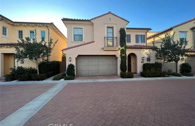 146 Stallion photos photos