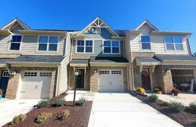 4473 Braden Woods Dr - 4473 Braden Woods Drive, Chesterfield County, VA 23112 4473 Braden Woods Dr - 4473 Braden Woods Drive, Chesterfield County, VA 23112