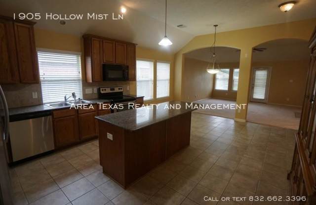 1905 Hollow Mist Ln Gallery 4