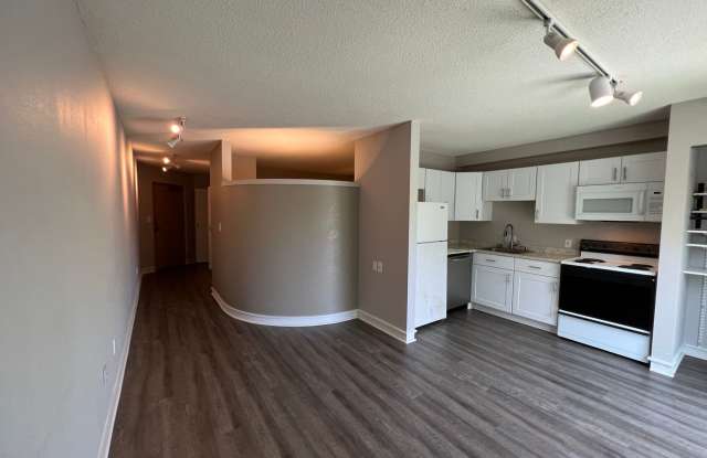 Beech St. Apartment Gallery 1