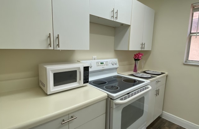 450 SW 2nd Ave Unit 204 photos photos