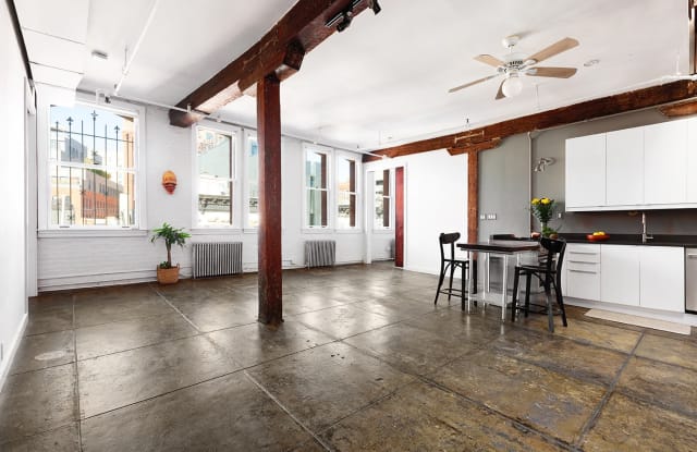 262 Mott Street - 262 Mott Street, New York City, NY 10012