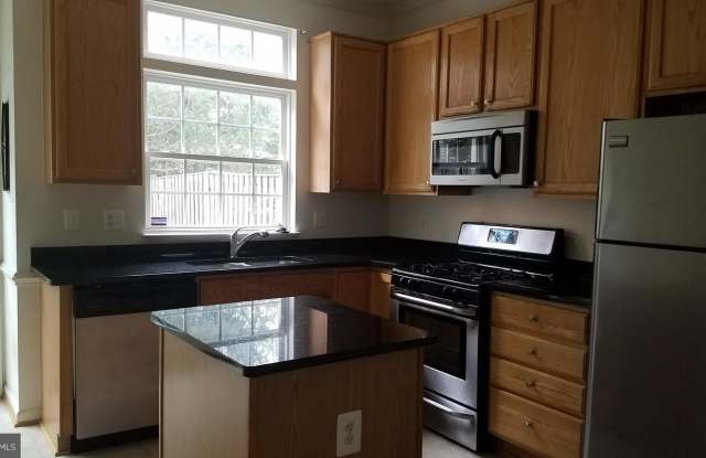 12515 SELKIRK CIRCLE Gallery 3