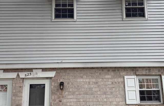 525 VILLAGE Lane photos photos