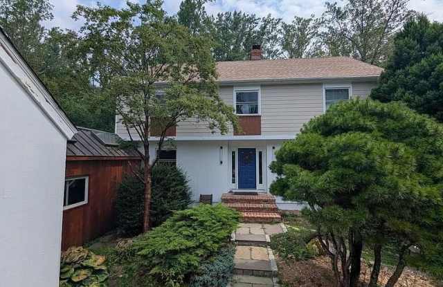 7 Joanne Lane photos photos