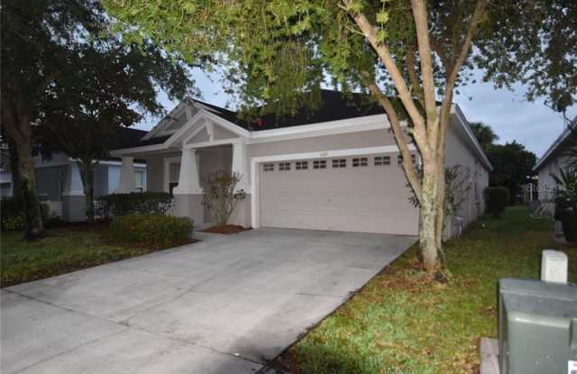 6109 GANNETSIDE PLACE - 6109 Gannetside Place, Fish Hawk, FL 33547