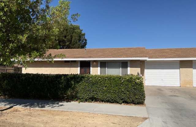 16503 Smoke Tree photos photos