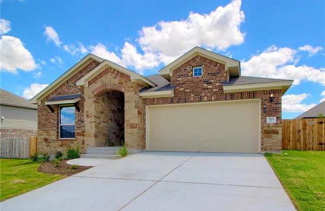 713 Manzano LN - 713 Manzano Lane, Pflugerville, TX 78660