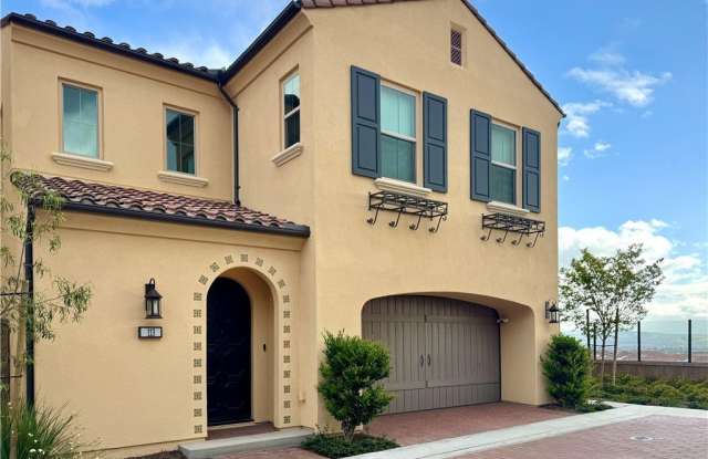 113 Jaybird photos photos