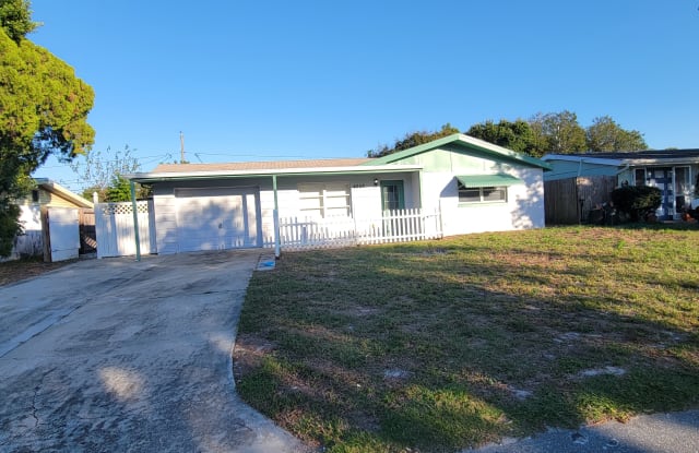 4542 Jacqueline Dr - 4542 Jacqueline Drive, Elfers, FL 34652