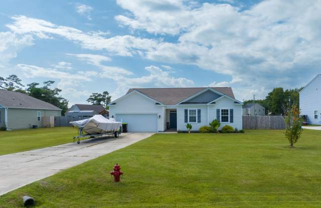 Charming 3-Bedroom Home for Rent in The Preserve at Morris Landing photos photos