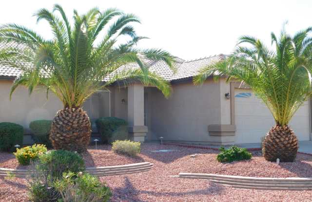 20521 N 107TH Drive Gallery 2