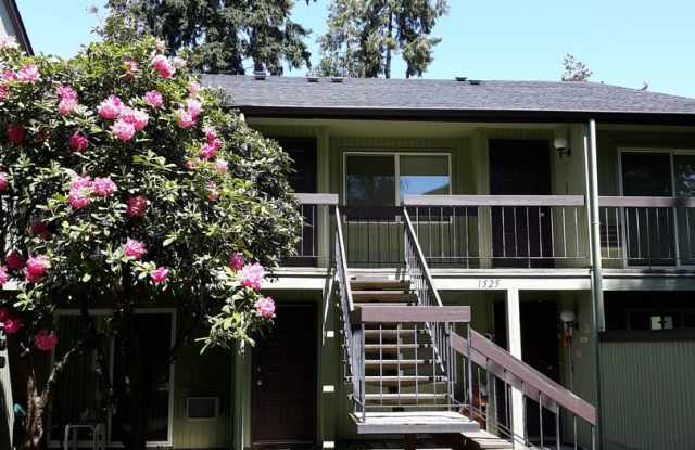 Springtree photos photos