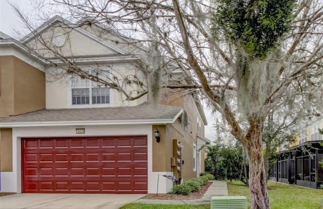 10216 WESTPARK PRESERVE BOULEVARD - 10216 Westpark Preserve Boulevard, Citrus Park, FL 33625