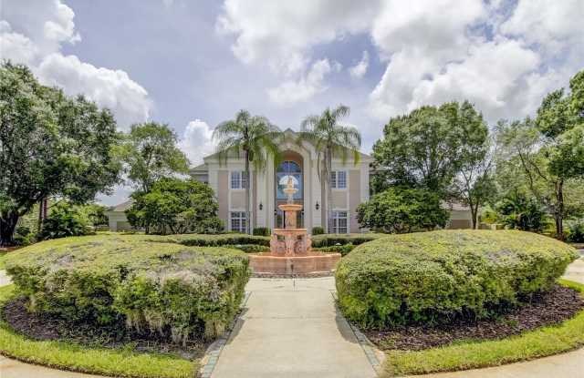 18605 AVENUE MONACO - 18605 Avenue Monaco, Cheval, FL 33558