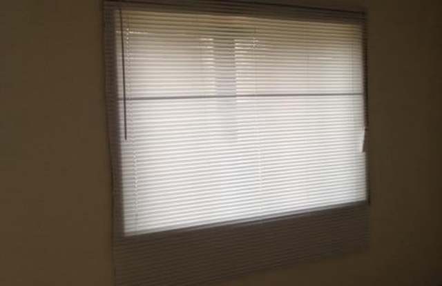 7729  BELMONT Gallery 3